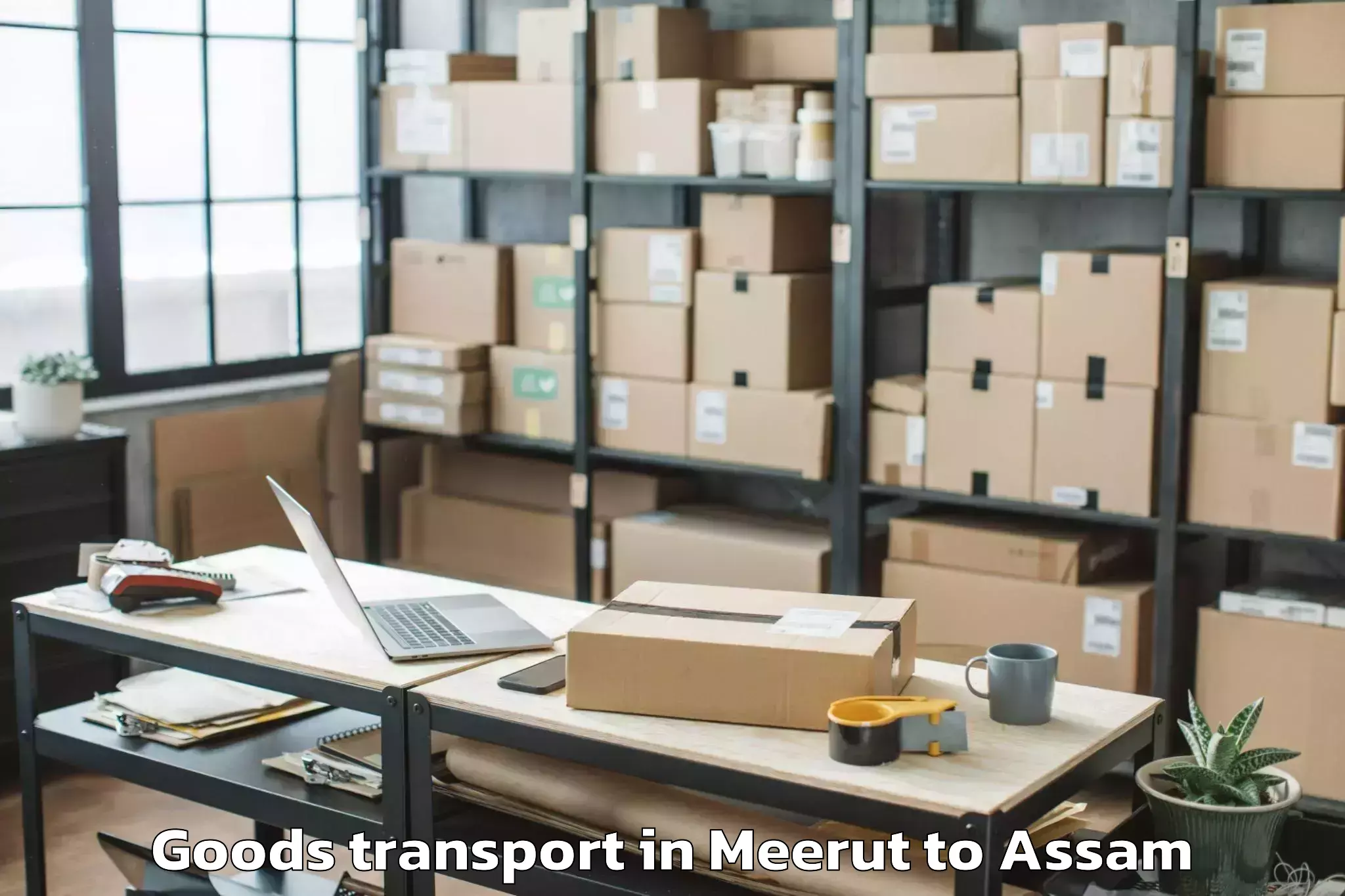 Comprehensive Meerut to Bengtol No Ii Goods Transport